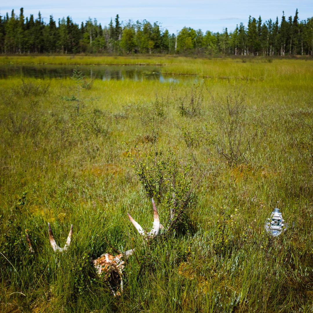 Nikolai, Alaska permafrost monitoring station