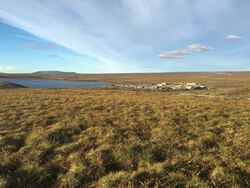 The tundra landscape at Toolik Field Station, Alaska. Photo by Nell Kemp.