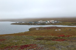 Colorful tundra with Toolik Field Station, Alaska in the distance. Photo by Nell Kemp.