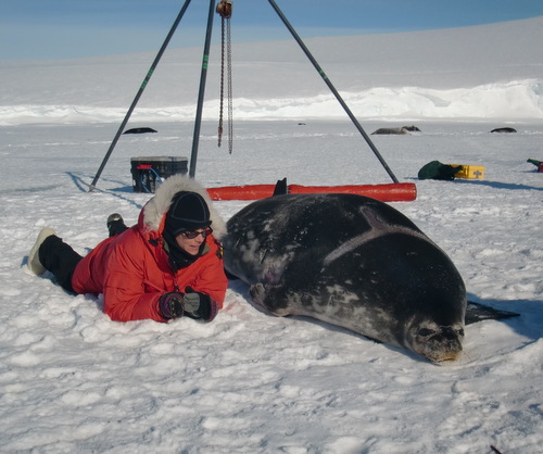 Alex with seal