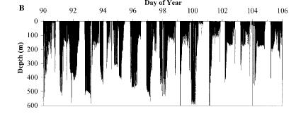 Dive Record