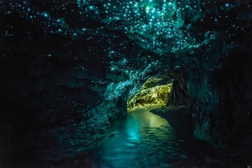 Glowworm Cave