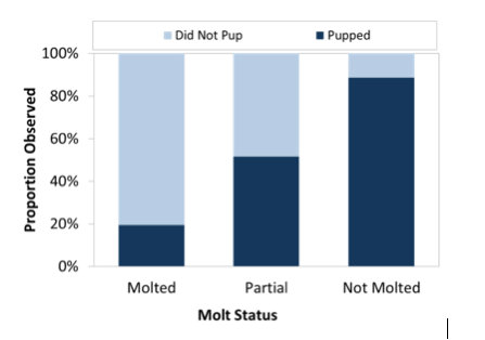 Initial Data