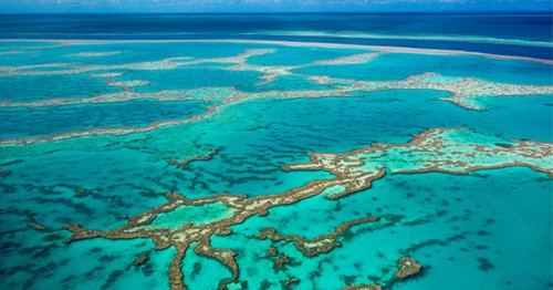 Another view of the Great Barrier Reef 