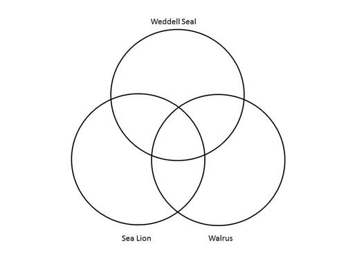 Pinniped family Venn diagram