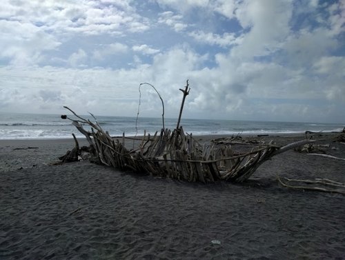 Driftwood Boat