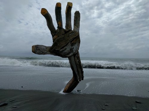 Drift wood Hand 