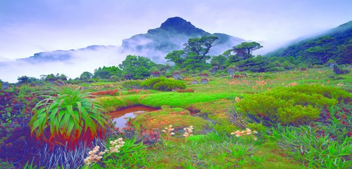 Tasmania View