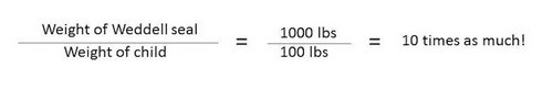 Comparison of weights