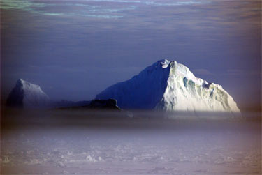 icebergs in the fog on the Ross Sea