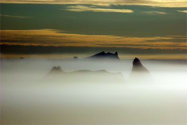 icebers in the fog on the Ross Sea