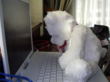 Mrs. Chippy learning the computer