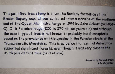 petrified wood explanation sign