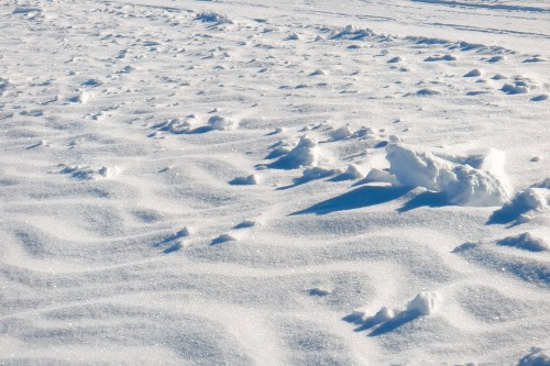 January 20: Close-up of the South Pole&#39;s frozen surface.