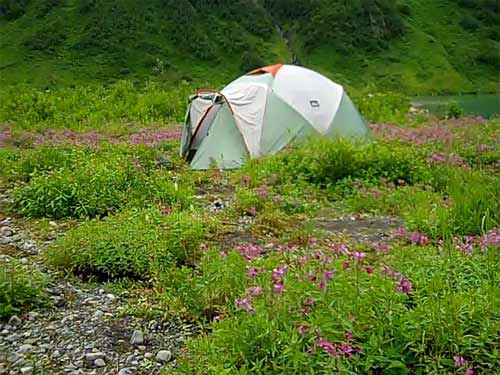 Camp at Allison Lake