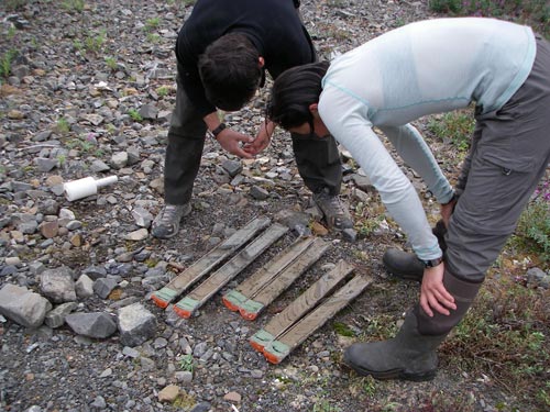 Heidi Roop and Darrell Kauffman examining split cores