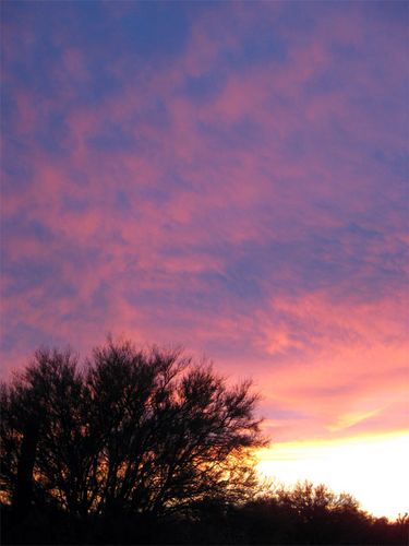 Sunset Looking Eastward