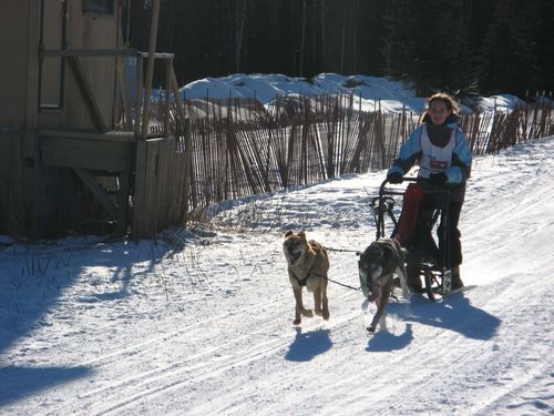 Finish Line in 2-dog Race