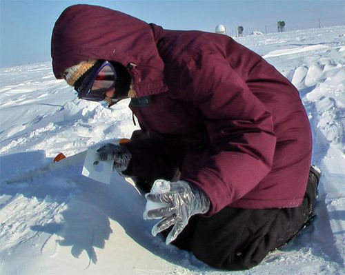 My First Snow Sample