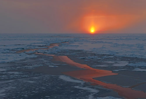 Arctic sunset