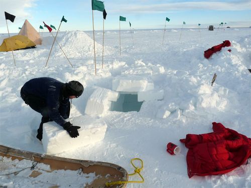 Five people decide to build snow  trenches to sleep in.