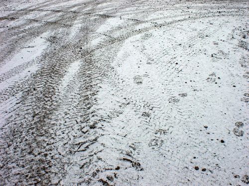 Tracks in fresh snow.