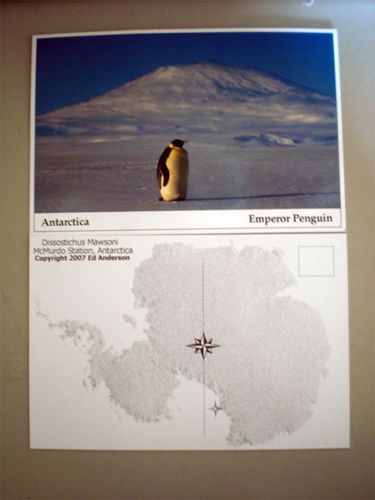 Two postcards of Antarctica.