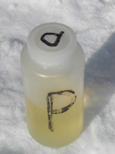 My used pee bottle.