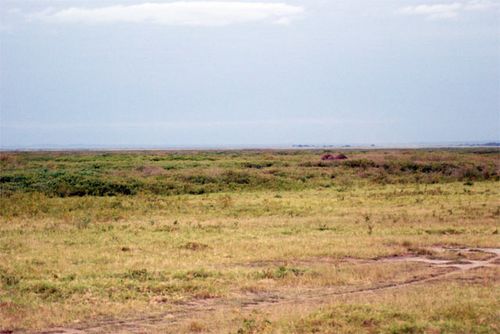 Flat land in Kenya.