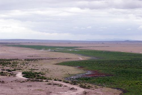 A patch of green vegetation that cuts  across the dry landscape.