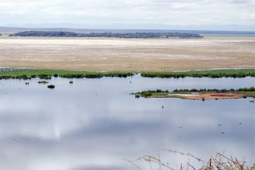 Water is found sporadically  throughout the landscape.