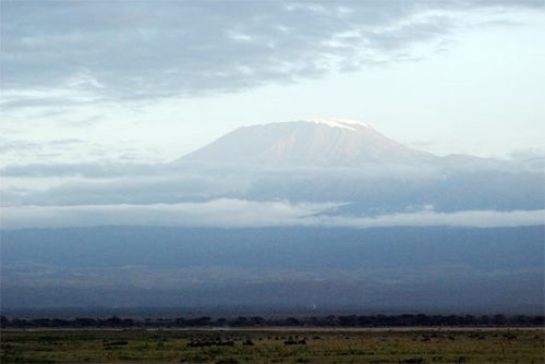 Mount Kilimanjaro, the tallest  mountain in Africa.