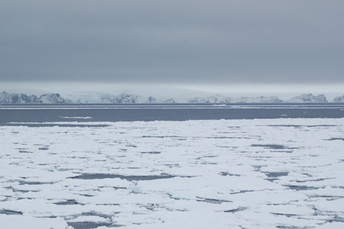 Sea ice and the South Shetland Islands