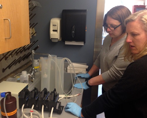 Pekarcik and Jenkins pumping water samples