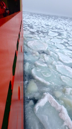 Palmer moving through ice