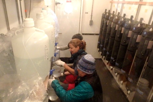 Filling incubation bottles