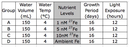 Experiment graphic organizer