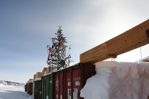 A tree? at the South Pole?