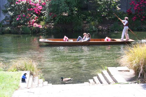 Q*Bert checks out some punters on the River Avon