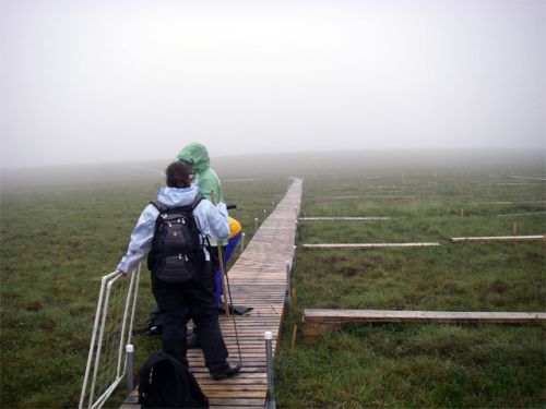 The Newest Plots - Deluxe Boardwalk.