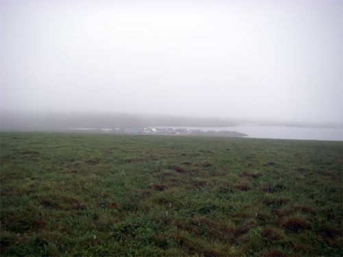 Toolik Lake in the fog.