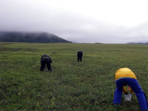 What are These Researchers Doing?