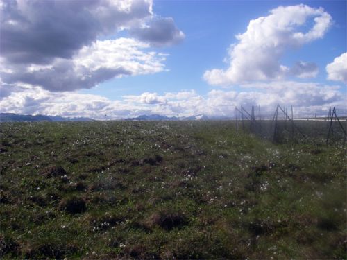 Tundra beneath mixed skies.