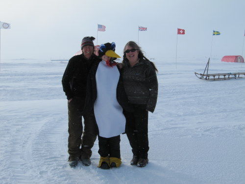 Penguin Hangs Out with Friends