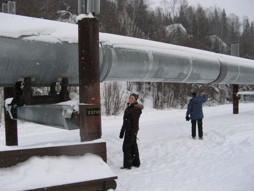 Shoe slides on the pipeline