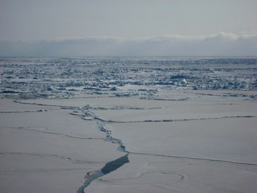 A ribbon of thin ice