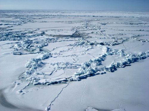 The sea ice near St. Lawrence Island