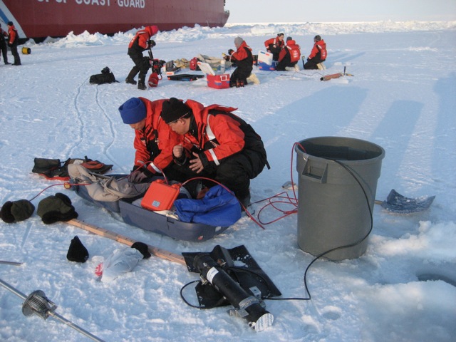 Measuring the light penetration through the sea ice