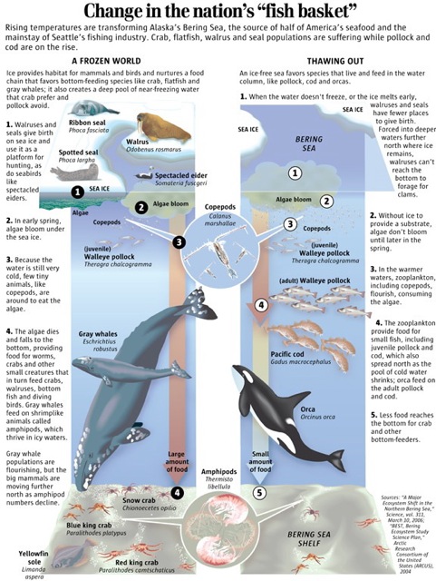 Changes in the Bering Sea