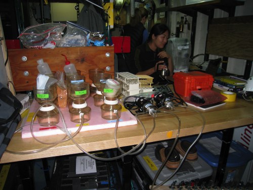 Experiment Set-Up